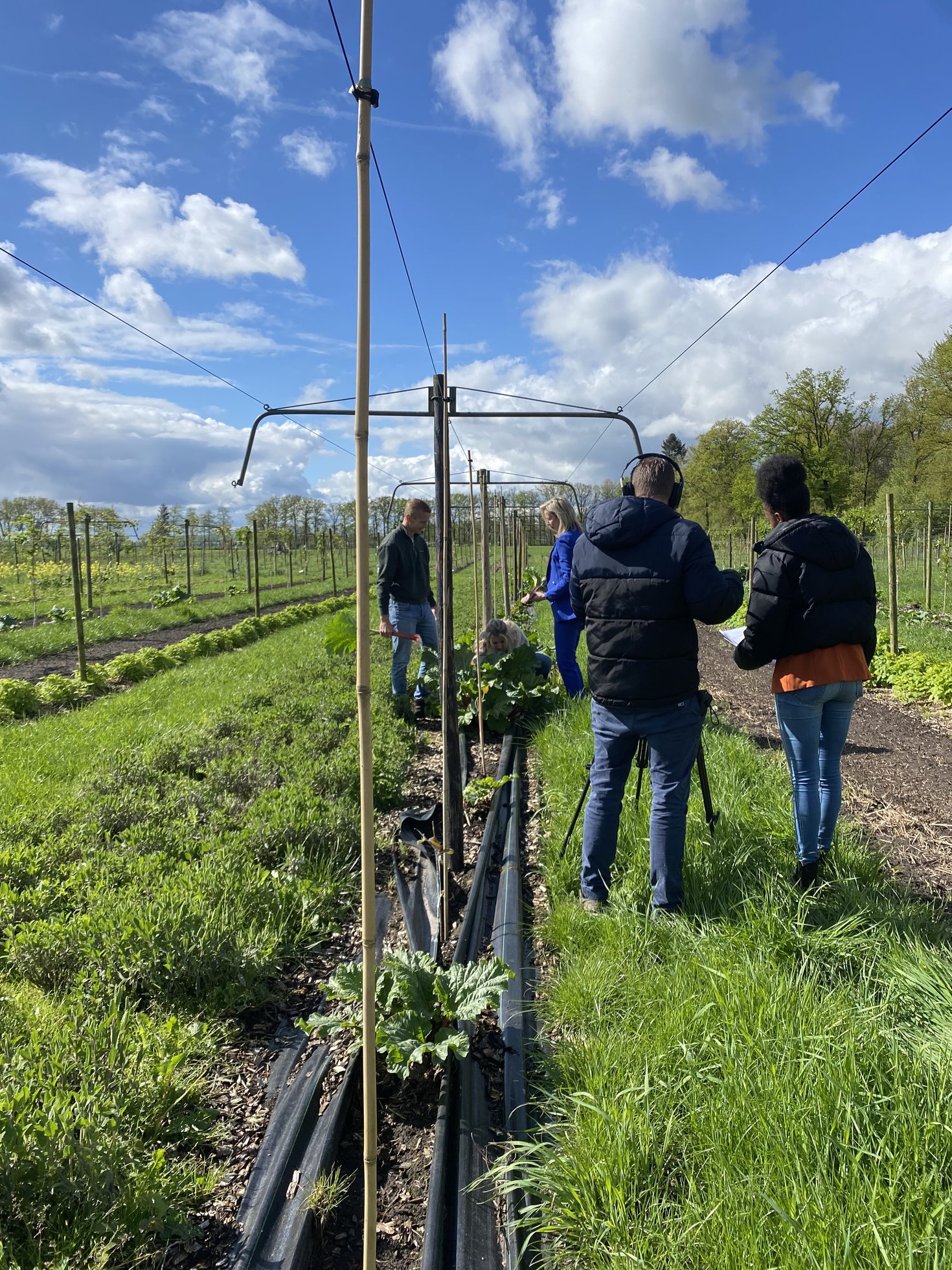 Vitam De bewuste cateraar