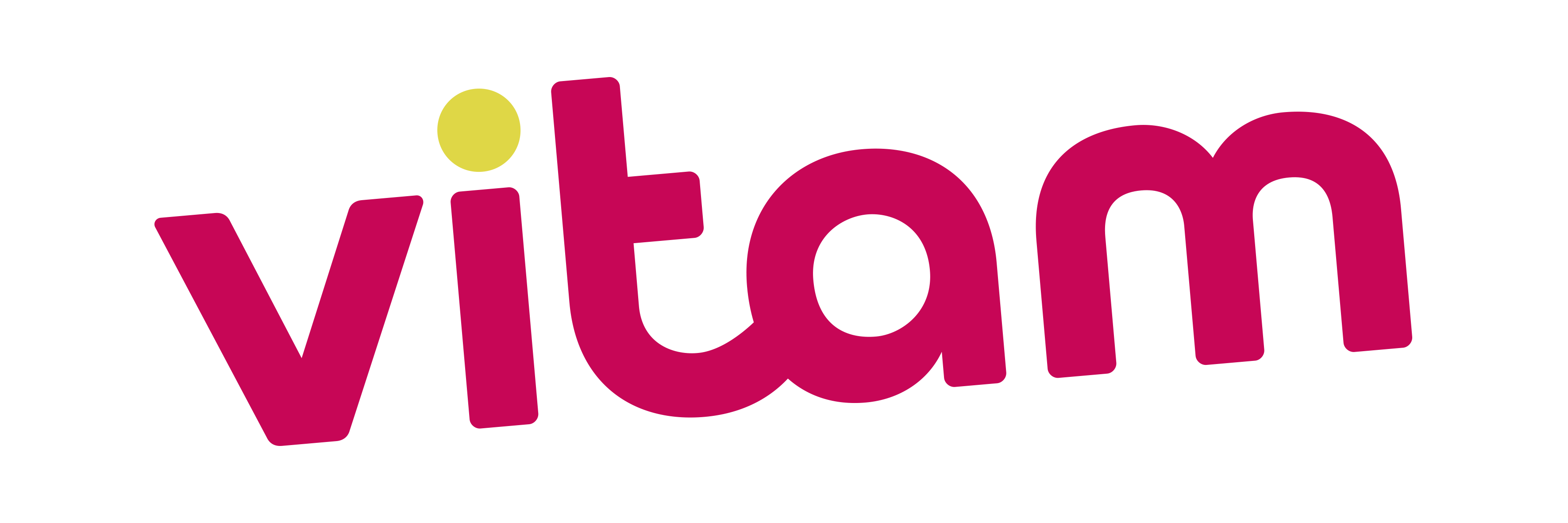 Vitam