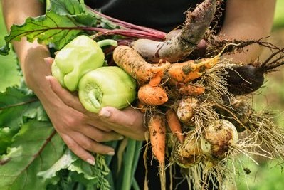Pure ingredienten